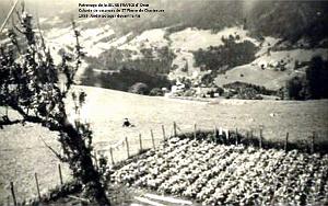 COLO JEUNE FRANCE 1953 jardin potager devant le Ru